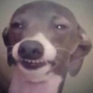 Meet your Posher, Corbyn